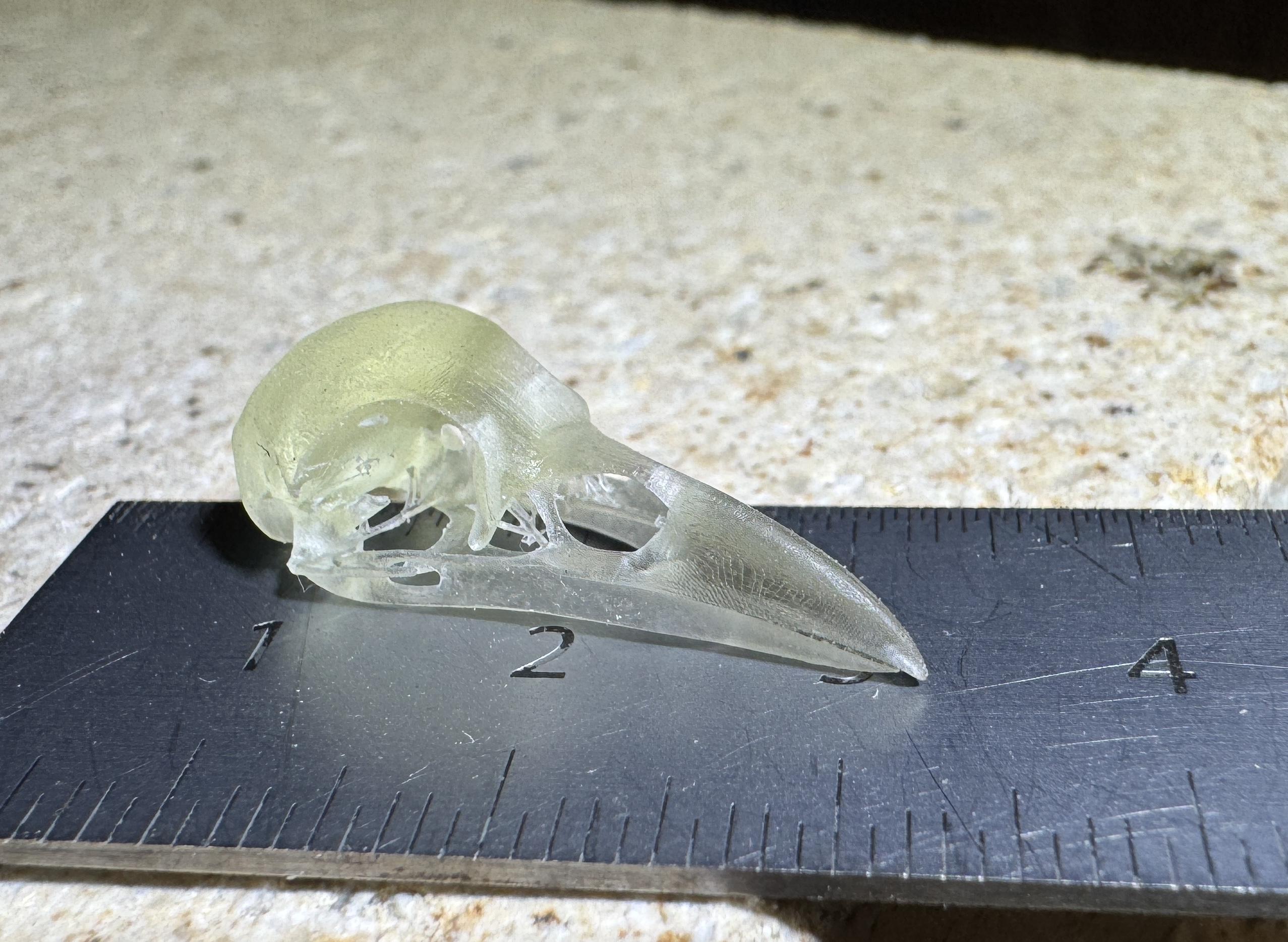 22µm Wahnsinn