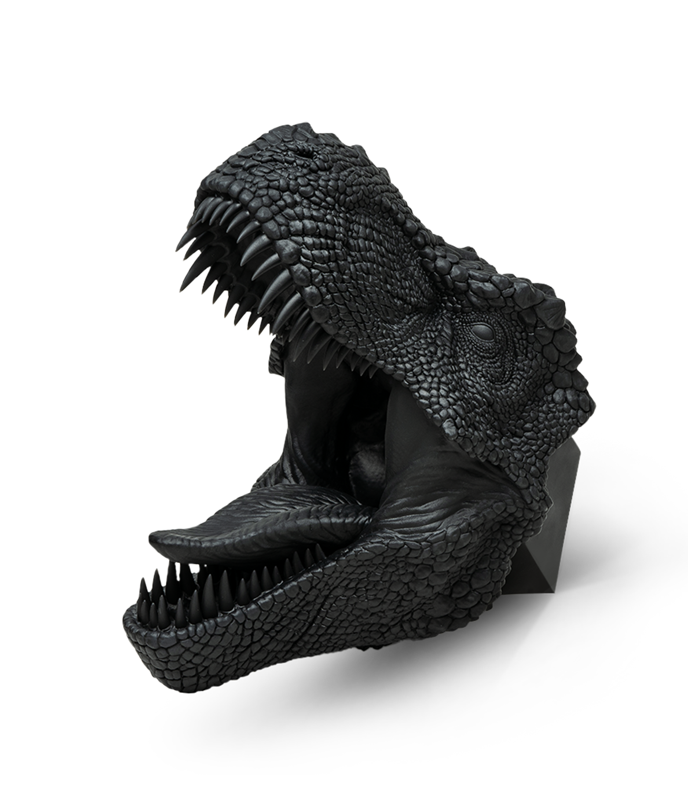 phrozen-standard-speed-plus-resin-universal-harz image 5