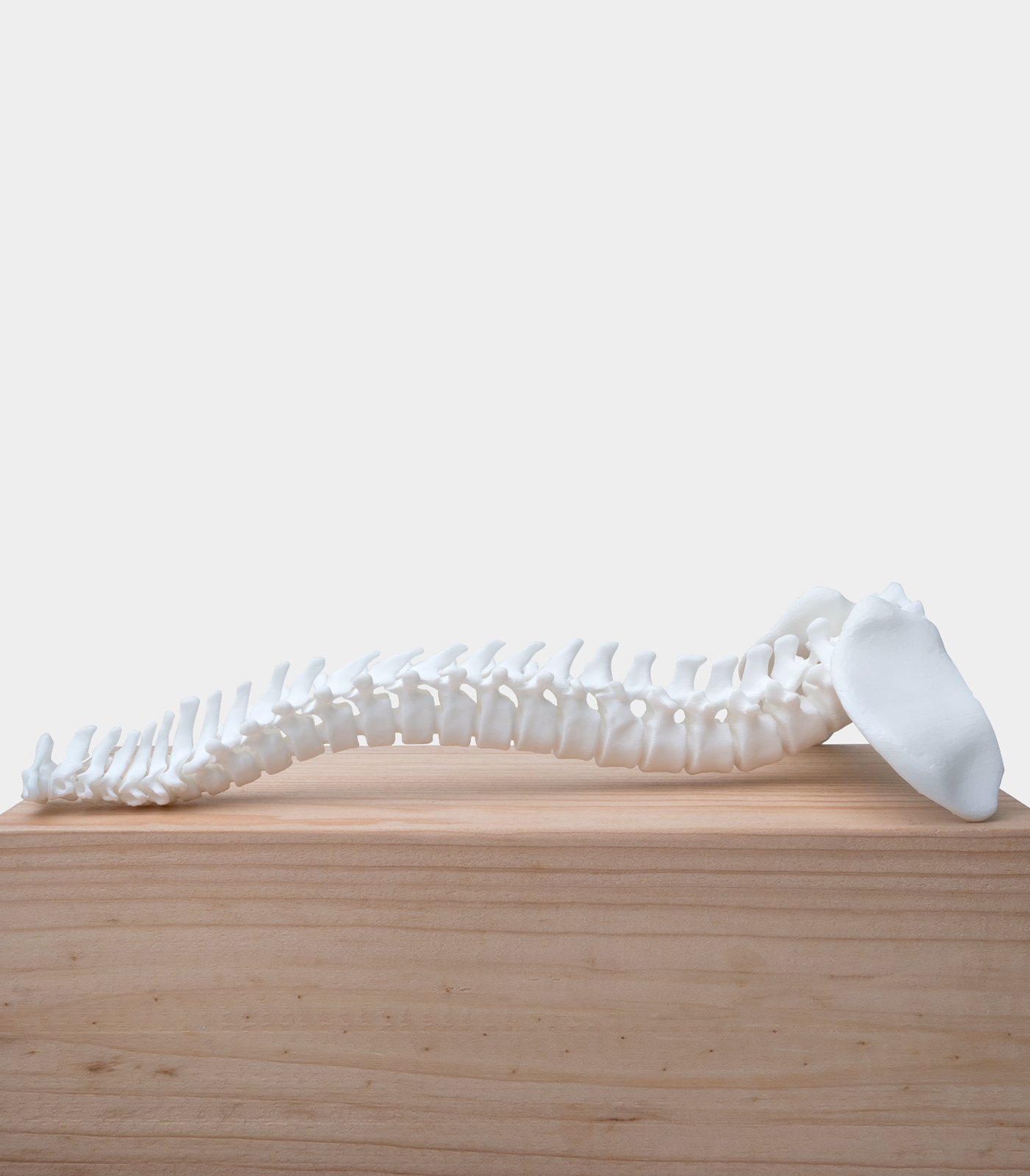 phrozen-engineering-rigid-ceramic-resin-wei image 5